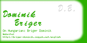 dominik briger business card